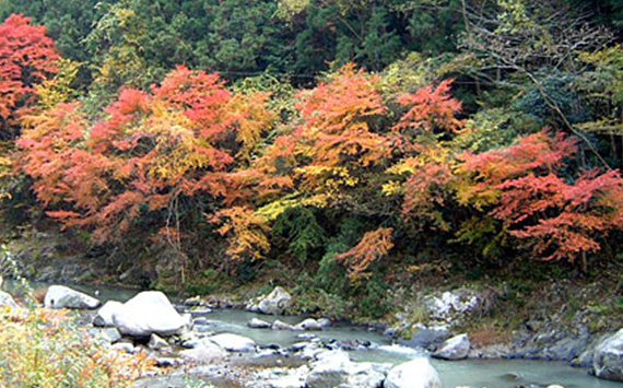 Tamagawa Gorge
