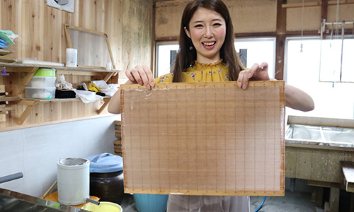 Handmade Japanese paper studio Aserina