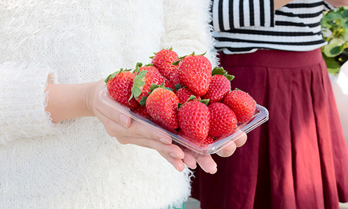 Kishikawa Tourism Strawberry Picking Association