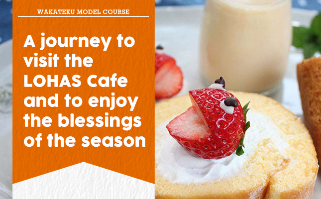 A journey to visit the LOHAS Cafe and to enjoy the blessings of the season