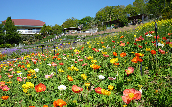Ryokka Center Botanical Park
