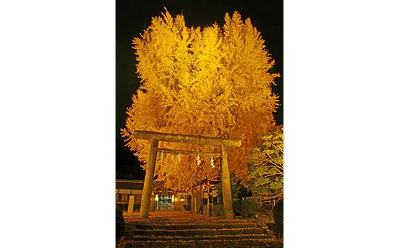 Nyusakado Shrine